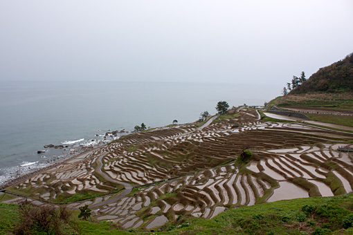 能登半島 輪島 白米千枚田
