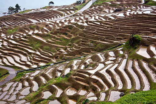 能登半島 千枚田