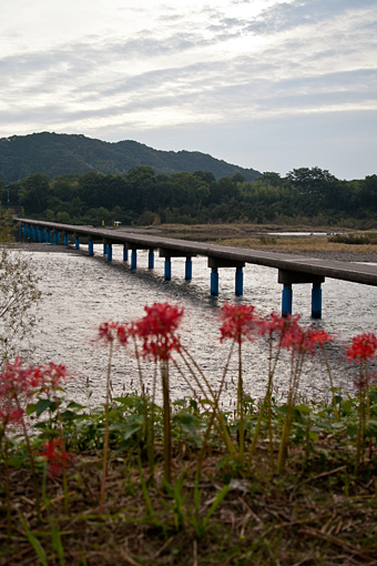 四万十川 佐田沈下橋