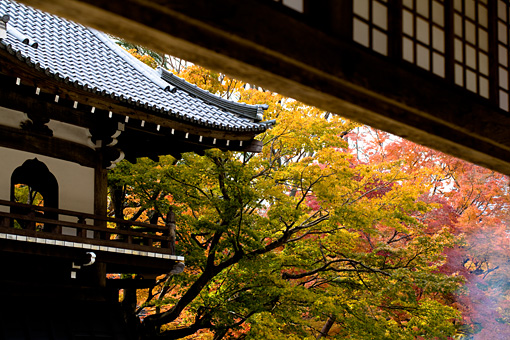 永源寺の紅葉