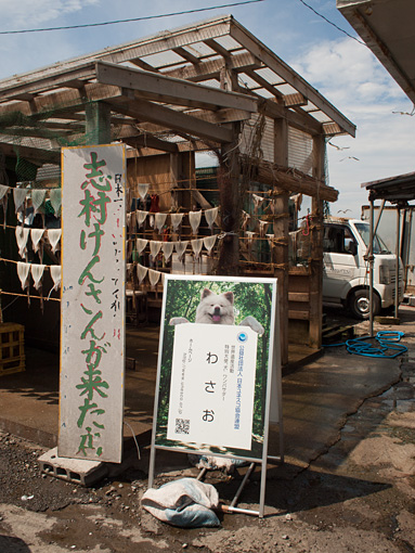 わさお きくや商店