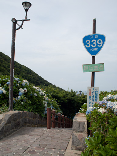 階段国道339号線